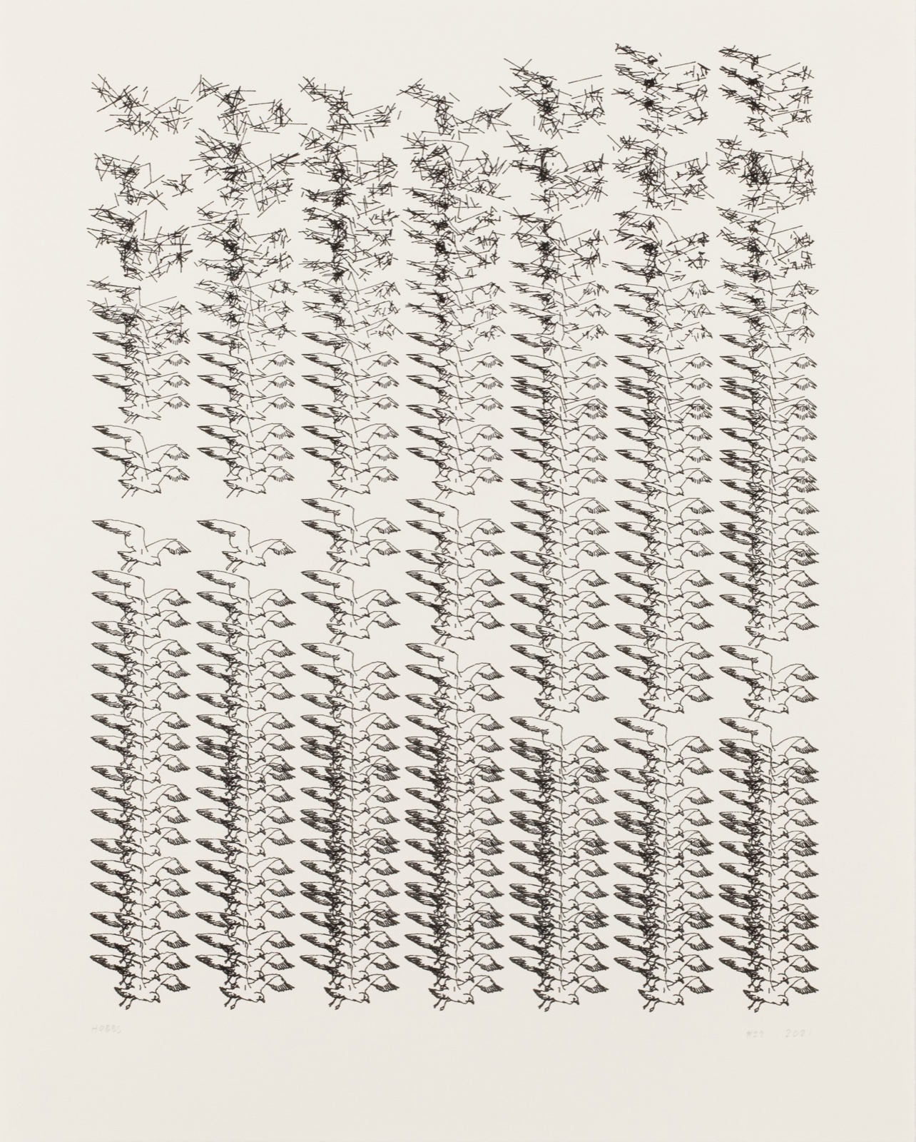 A sheet with seven columns of small drawn birds in flight. At the top the birds dissolve into scattered short lines.