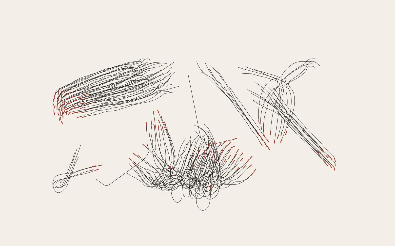 Thin black lines on warm paper, the paths of about a hundred simulated birds over a short time. They run side by side in several bundles, each bundle turning together; a short red stroke at the end of every path shows where each bird is and which way it flies.