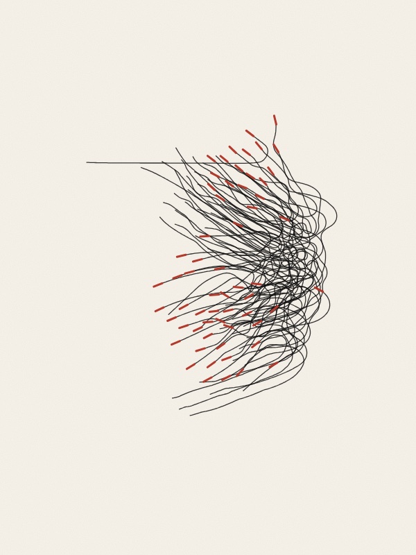 Thin black lines on warm paper, the paths of about a hundred simulated birds over a short time. They run side by side in several bundles, each bundle turning together; a short red stroke at the end of every path shows where each bird is and which way it flies.