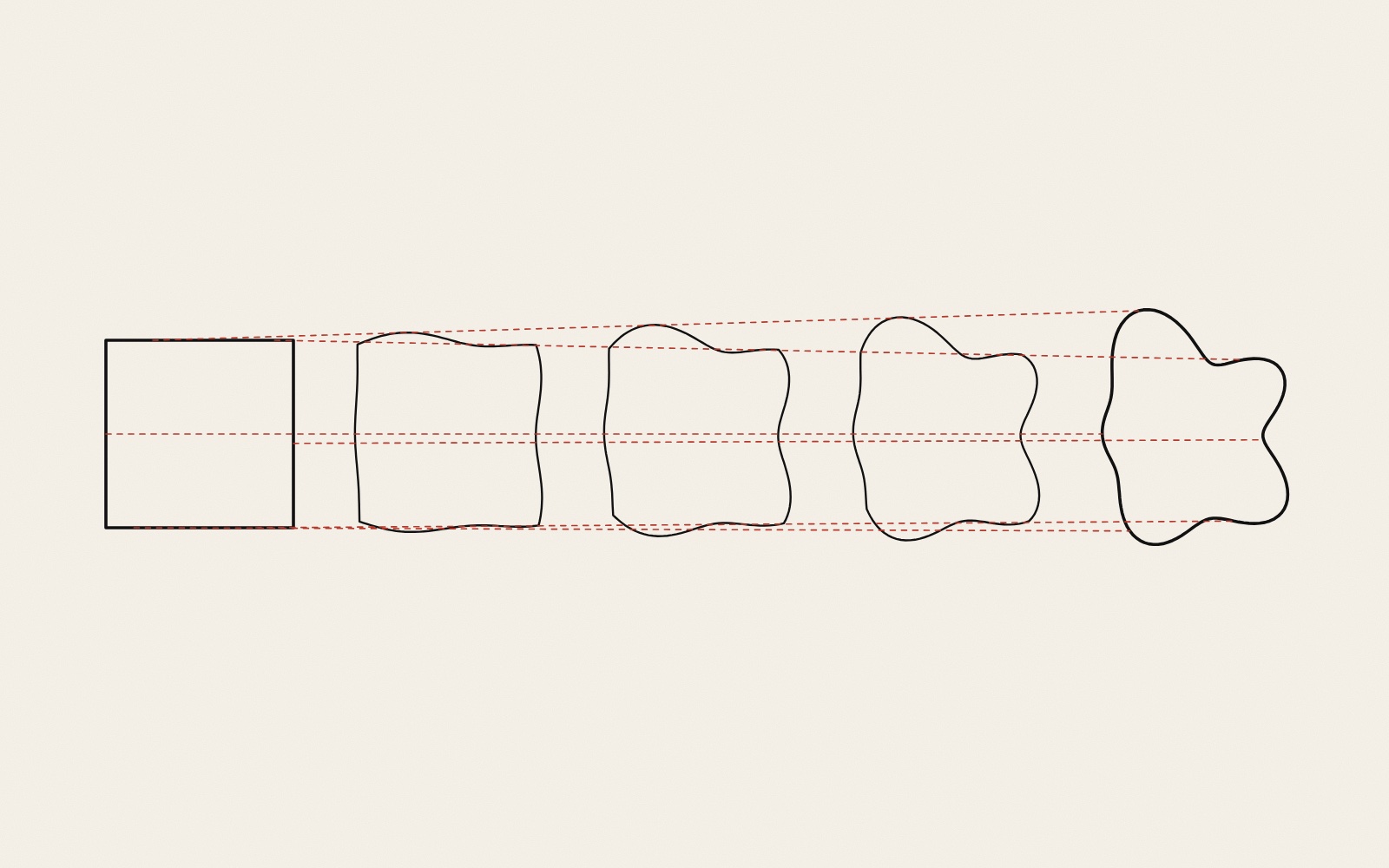 Five thin black outlines in a row on warm paper. The first is a square, the last an irregular rounded shape with lobes, and the three between change step by step from one to the other. Dashed red lines run straight through the row, following a few points from the square to the final shape.