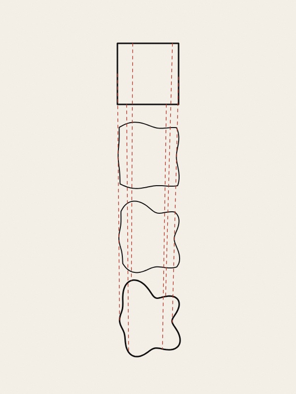 Five thin black outlines in a row on warm paper. The first is a square, the last an irregular rounded shape with lobes, and the three between change step by step from one to the other. Dashed red lines run straight through the row, following a few points from the square to the final shape.