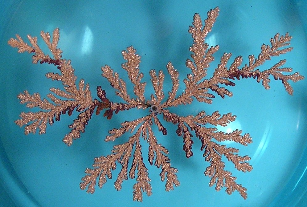 Photograph of a copper deposit on a turquoise background, seen from above: from a small electrode in the middle, feathery golden-brown branches grow outwards, each forking again into finer side branches.