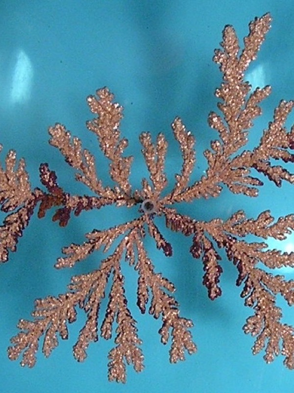 Photograph of a copper deposit on a turquoise background, seen from above: from a small electrode in the middle, feathery golden-brown branches grow outwards, each forking again into finer side branches.