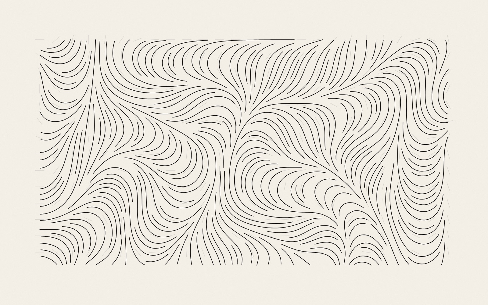 Hundreds of thin black curves on warm paper, running side by side in swirling bands like the grain in wood, none of them touching. Faint grey ticks between them show the direction stored at each point of the grid.