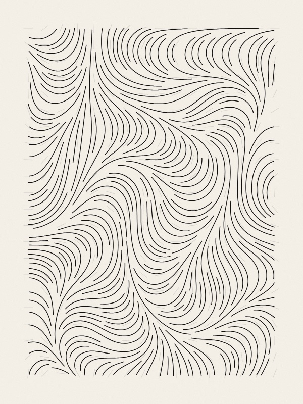 Hundreds of thin black curves on warm paper, running side by side in swirling bands like the grain in wood, none of them touching. Faint grey ticks between them show the direction stored at each point of the grid.