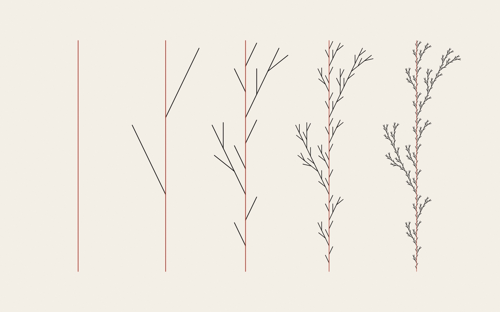Five thin line drawings side by side on warm paper, all the same height. The first is a single red vertical line; each next one has more branches, until the fifth is a fine plant-like stem with many small twigs. In every drawing the main stem is red and the branches black.