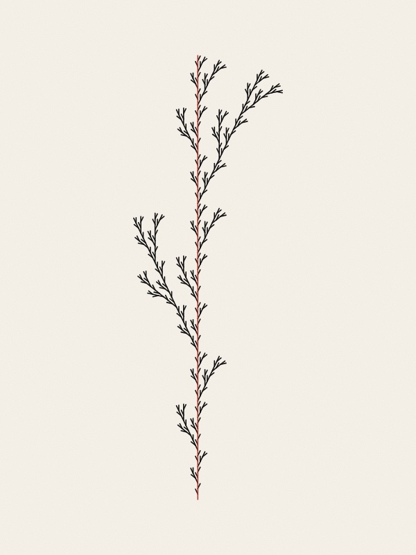 Five thin line drawings side by side on warm paper, all the same height. The first is a single red vertical line; each next one has more branches, until the fifth is a fine plant-like stem with many small twigs. In every drawing the main stem is red and the branches black.