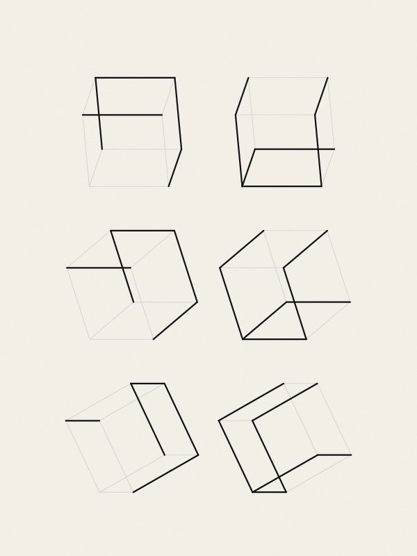 Two rows of six cubes drawn in thin lines on warm paper, each turned a little further than the one before. In the top row only five of each cube's twelve edges are black and the rest are faint grey; in the bottom row the other seven edges are black. A red arrow under the rows points to the right.