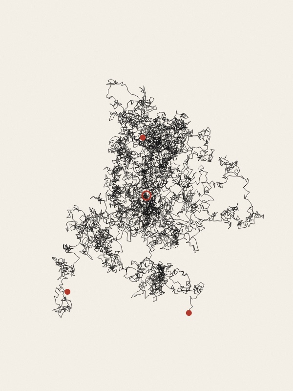 Five tangled black lines on warm paper, each made of thousands of short straight steps, all starting from one small red circle in the middle and wandering outwards in different directions. A red dot marks where each one ends.