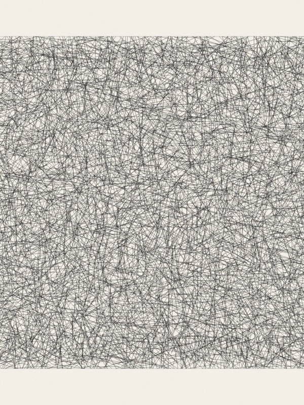 The outline of a wide wall, evenly covered with ten thousand short, thin straight lines in every direction, which together make an even grey.